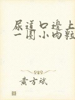 尿道口边上长了一圈小肉粒图片