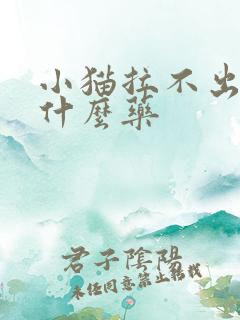 小猫拉不出尿吃什么药