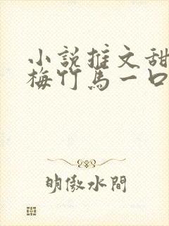 小说推文甜文青梅竹马一口气看完