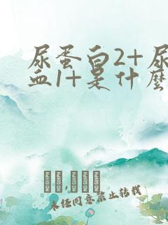 尿蛋白2+尿潜血1+是什么意思