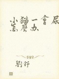 小猫一会尿一点怎么办