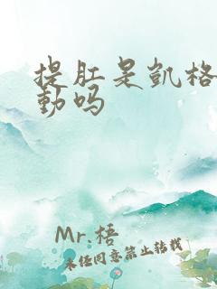 提肛是凯格尔运动吗