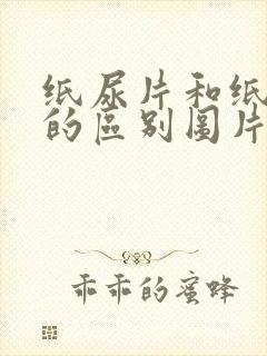 纸尿片和纸尿裤的区别图片