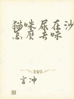 猫咪尿在沙发上怎么去味