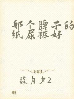 那个牌子的婴儿纸尿裤好