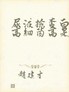 尿液检查白细胞高细菌高是什么原因