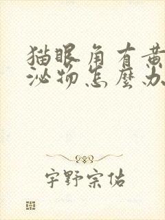 猫眼角有黄色分泌物怎么办