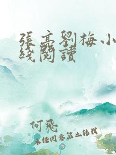 张亮刘梅小说在线阅读