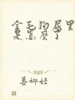 金毛狗尿里有血是怎么了