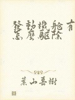 发动机舱有老鼠怎么驱除