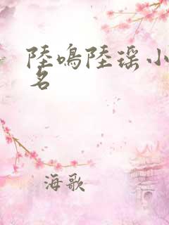 陆鸣陆瑶小说书名