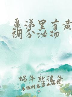 鼻涕里有黄色粘稠分泌物