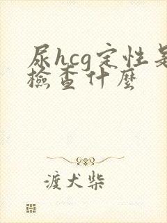 尿hcg定性是检查什么