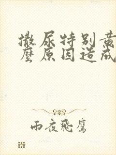 撒尿特别黄是什么原因造成的