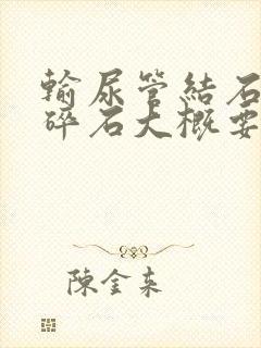 输尿管结石体外碎石大概要多少钱