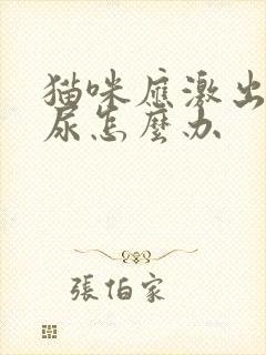 猫咪应激出现不尿怎么办