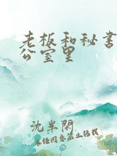 老板和秘书在办公室里