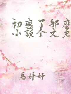 初恋了那么多年小说全文免费阅读