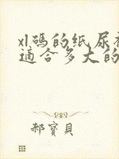 xl码的纸尿裤适合多大的宝宝穿