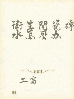 卫生间瓷砖缝渗水怎么办