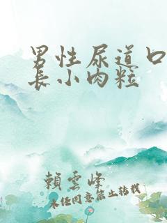 男性尿道口皮上长小肉粒