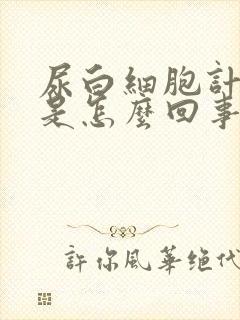 尿白细胞计数高是怎么回事儿