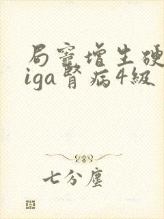 局灶增生硬化型iga肾病4级