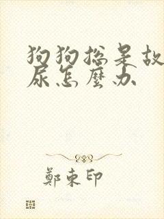 狗狗总是故意乱尿怎么办