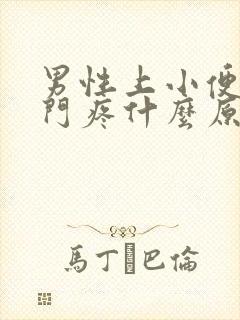 男性上小便痛肛门疼什么原因