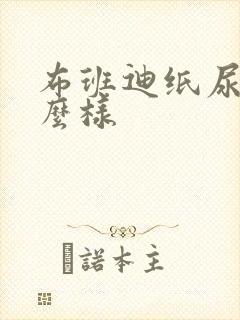 布班迪纸尿裤怎么样