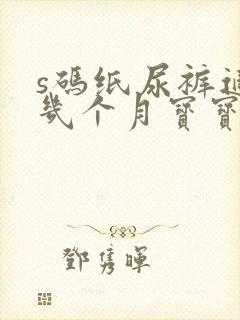 s码纸尿裤适合几个月宝宝用