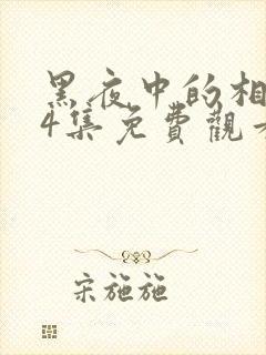 黑夜中的相拥24集免费观看