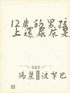 12岁的男孩晚上还尿床是什么原因