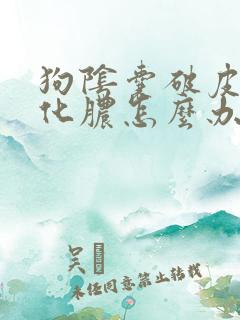 狗阴囊破皮溃烂化脓怎么办