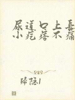 尿道口上长了个小疙瘩不痛不痒