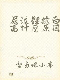 尿液体检白细胞高什么原因引起的