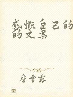 感慨自己的人生的文案