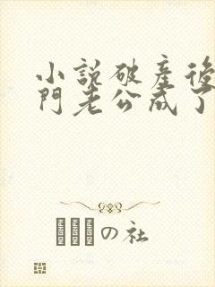 小说破产后,上门老公成了我的金主