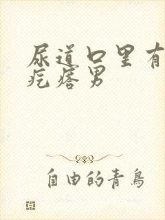 尿道口里有小肉疙瘩男