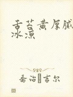 舌苔黄厚腻手脚冰凉