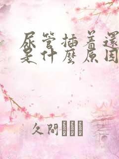 尿管插着还漏尿是什么原因