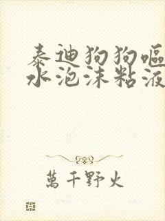 泰迪狗狗呕吐黄水泡沫粘液原因