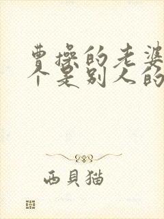 曹操的老婆有几个是别人的妻子