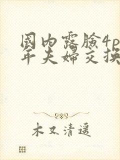 国内露脸4p中年夫妇交换