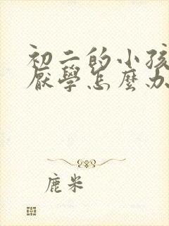 初二的小孩得了厌学怎么办