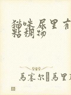 猫咪尿里有黄色粘稠物