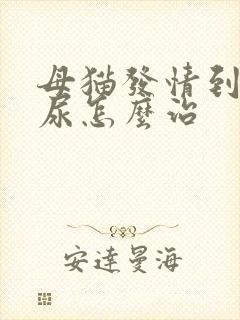 母猫发情到处乱尿怎么治