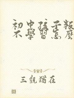 初中孩子叛逆期不学习怎么办