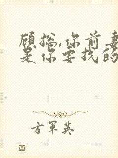 顾总,你前妻就是你要找的人