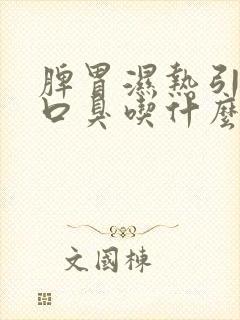 脾胃湿热引起的口臭吃什么药